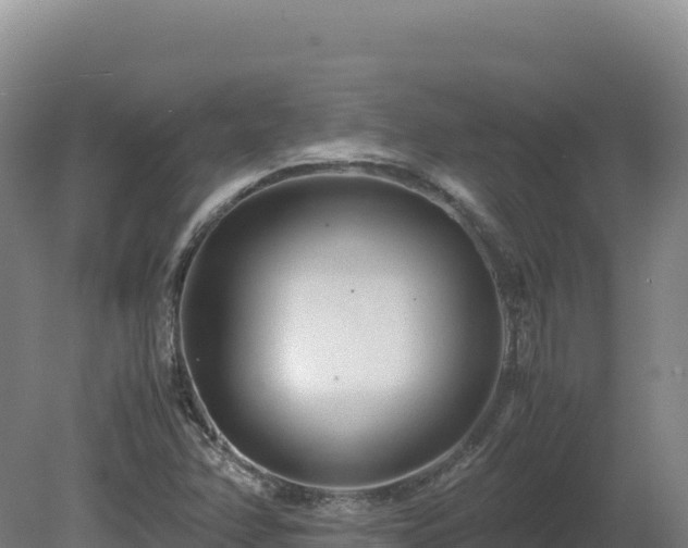 X0000081451358200701191703