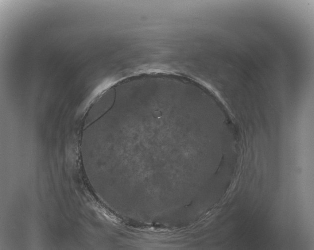 X0000081451359200701191703