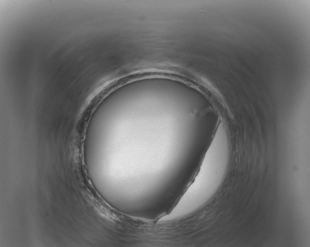 X0000081451360200701191703