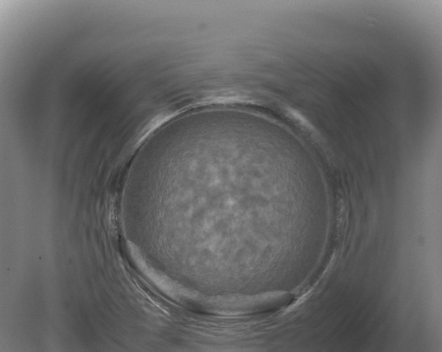 X0000081451361200701191703