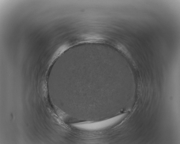 X0000081451362200701191703