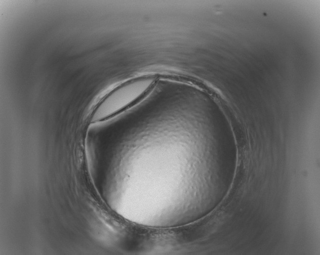 X0000081451363200701191703