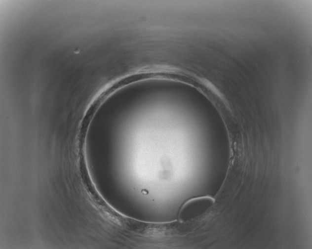 X0000081451364200701191703