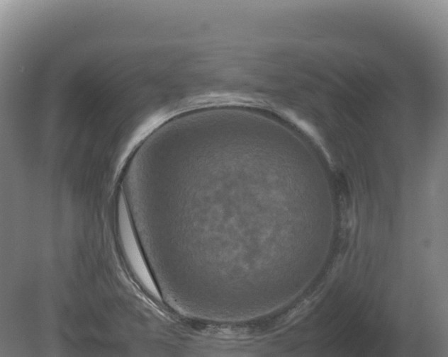 X0000081451365200701191703