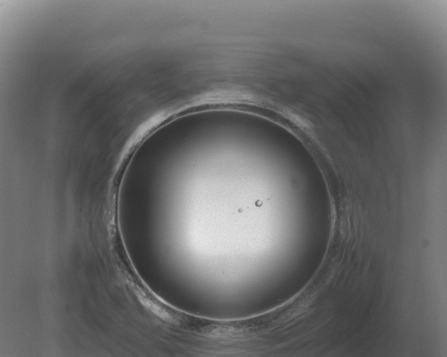 X0000081451366200701191703