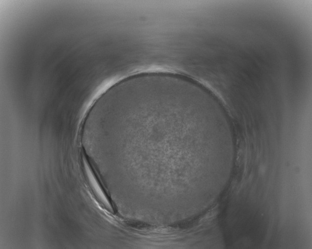 X0000081451367200701191703