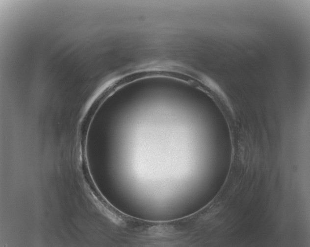 X0000081451368200701191703