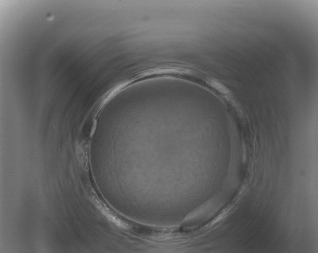 X0000081451369200701191703