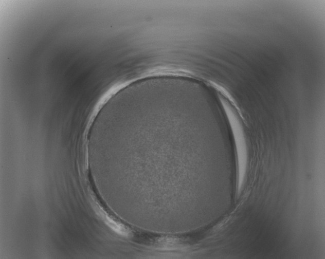 X0000081451371200701191703