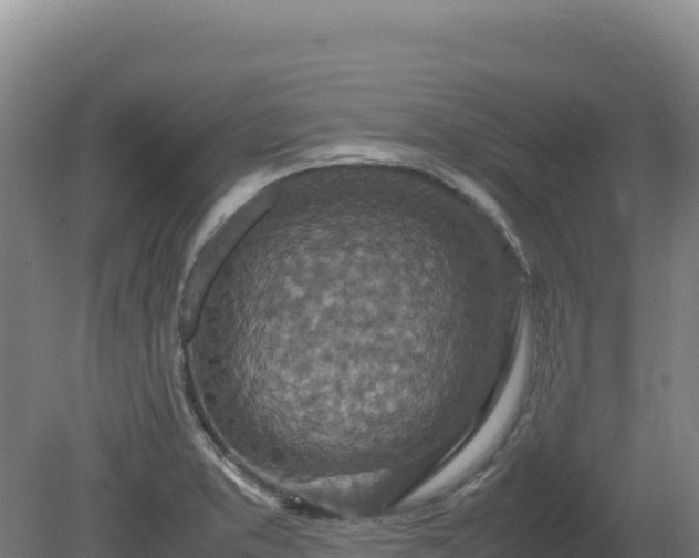 X0000081451373200701191703