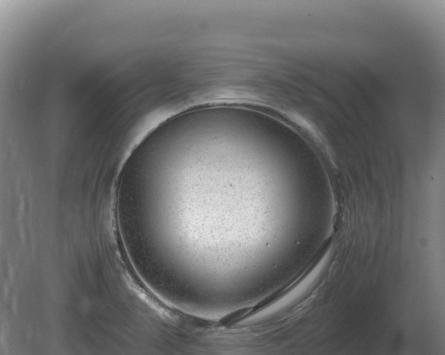 X0000081451374200701191703