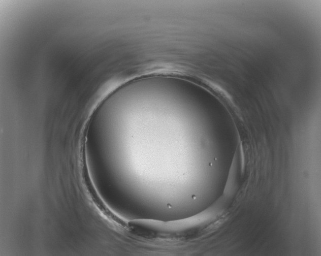 X0000081451375200701191703