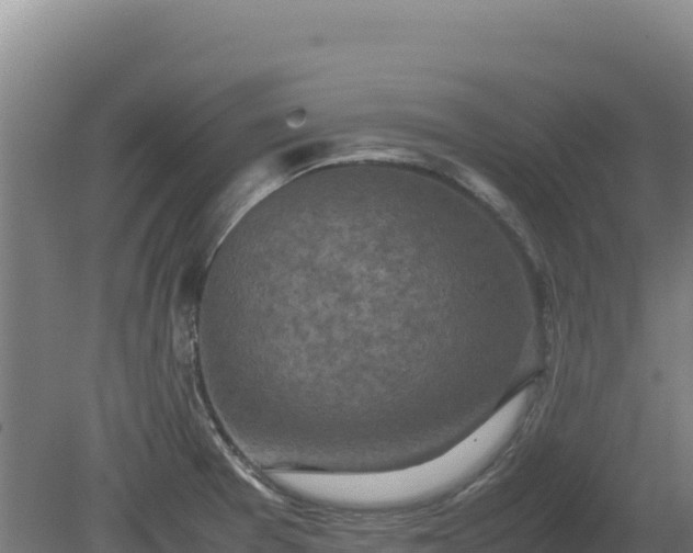 X0000081451377200701191703