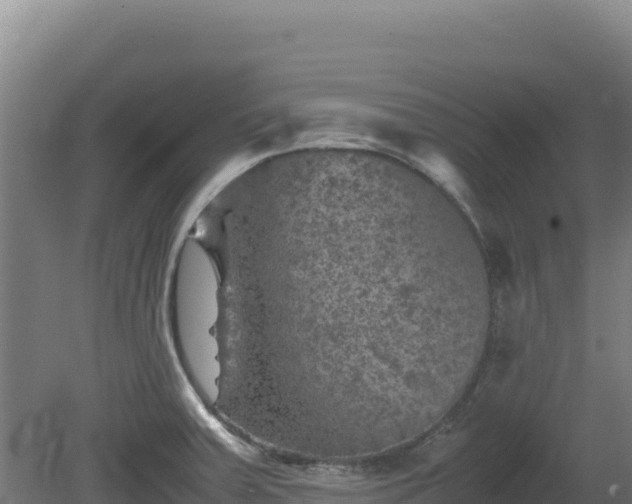 X0000081451379200701191702