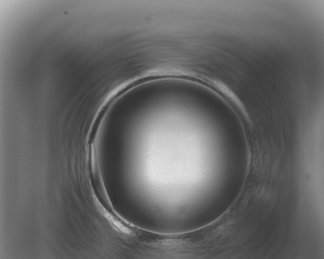 X0000081451380200701191702