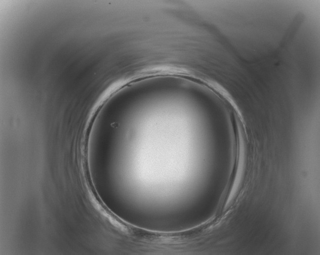 X0000081451381200701191702