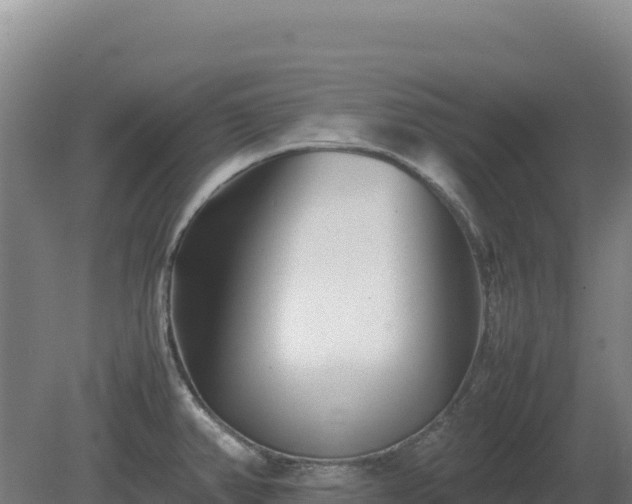 X0000081451382200701191702