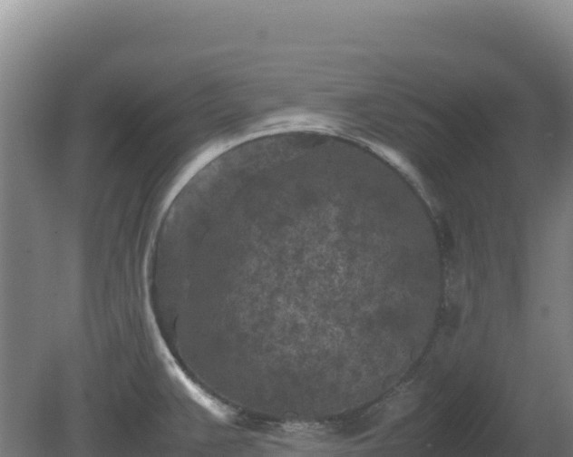 X0000081451383200701191702