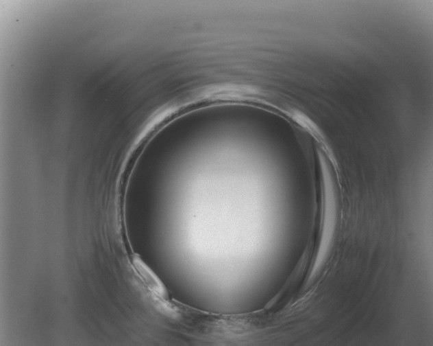 X0000081451384200701191702