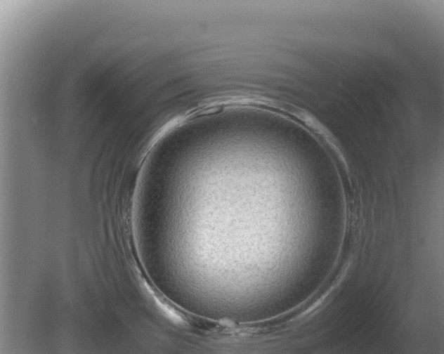 X0000081451385200701191702