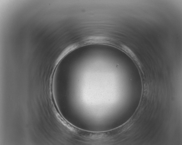 X0000081451386200701191702