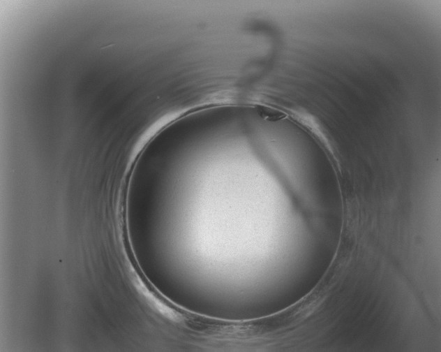 X0000081451387200701191702