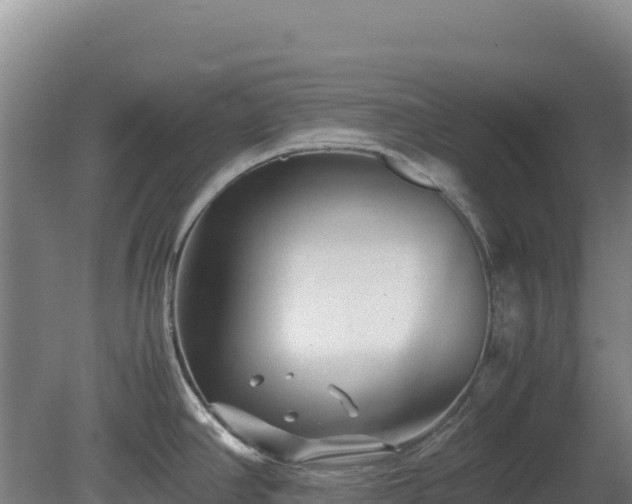 X0000081451390200701191702