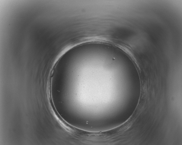 X0000081451391200701191702