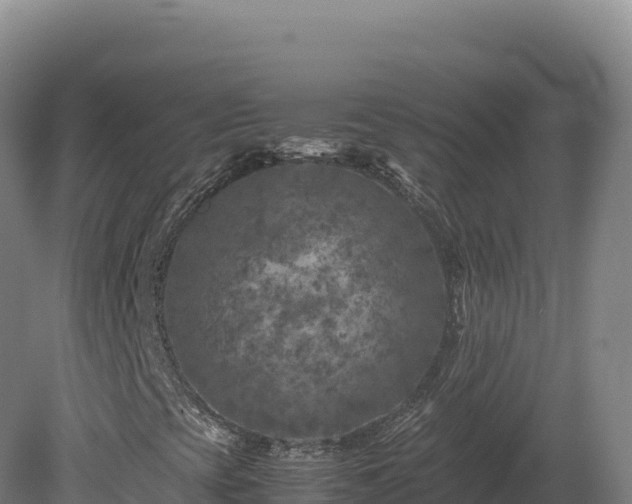 X0000081451393200701191701