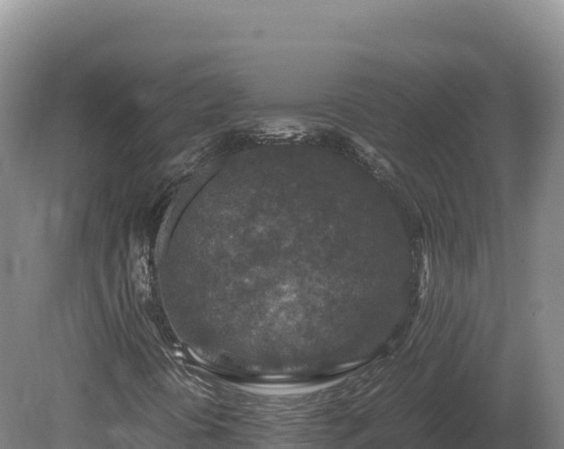 X0000081451394200701191701