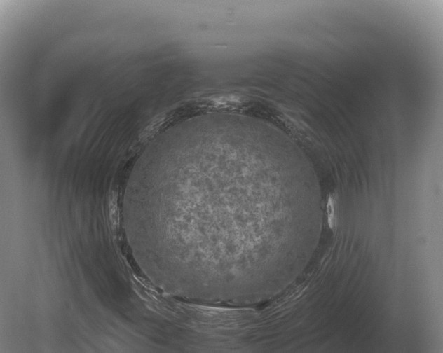 X0000081451395200701191701