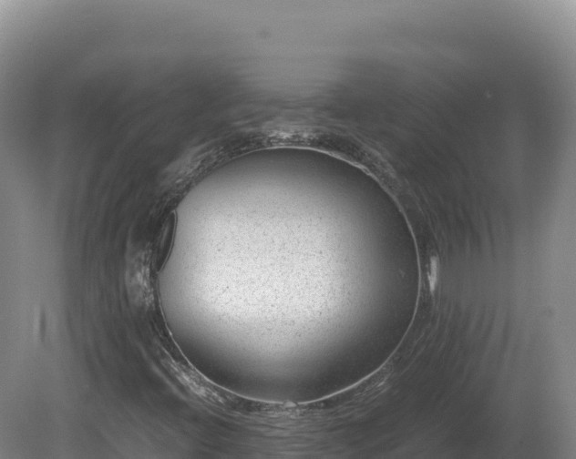 X0000081451396200701191701