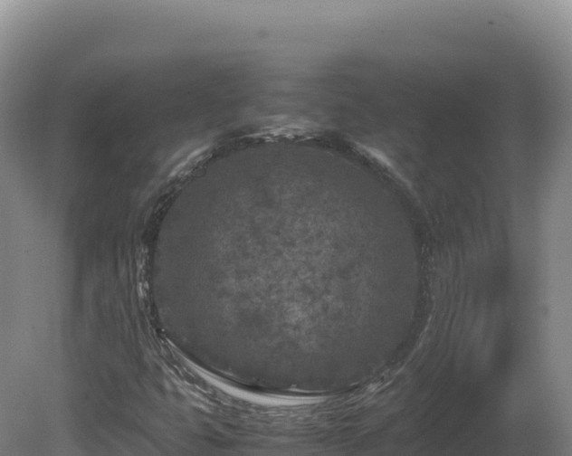 X0000081451399200701191702