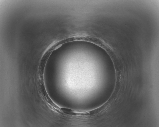 X0000081451400200701191702