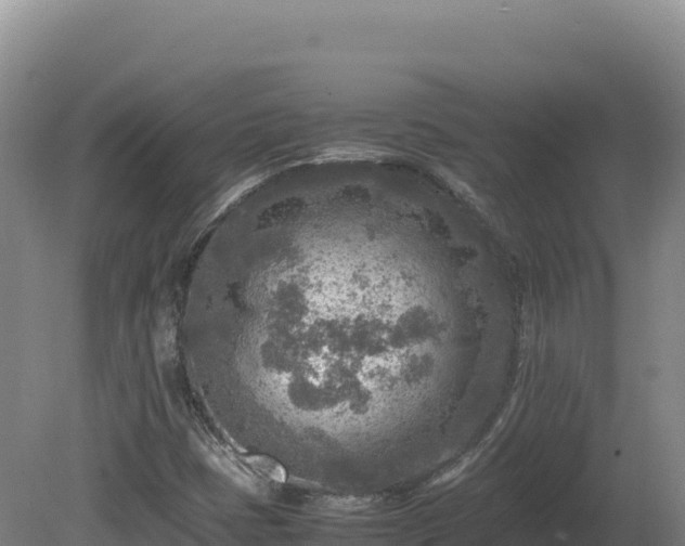 X0000081451401200701191702