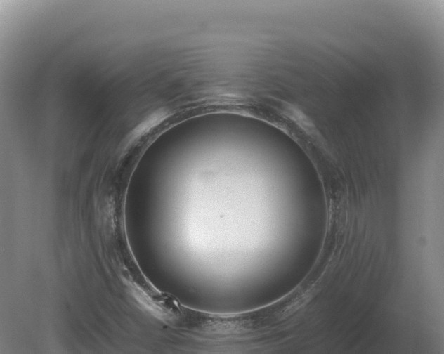 X0000081451402200701191702