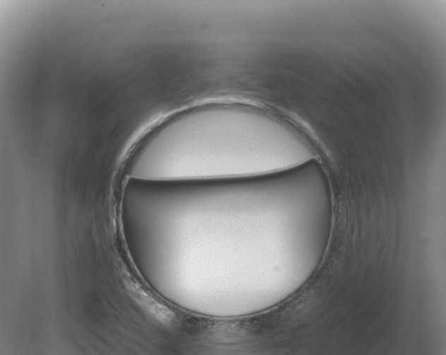 X0000081451408200701191702