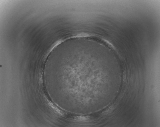 X0000081451409200701191702