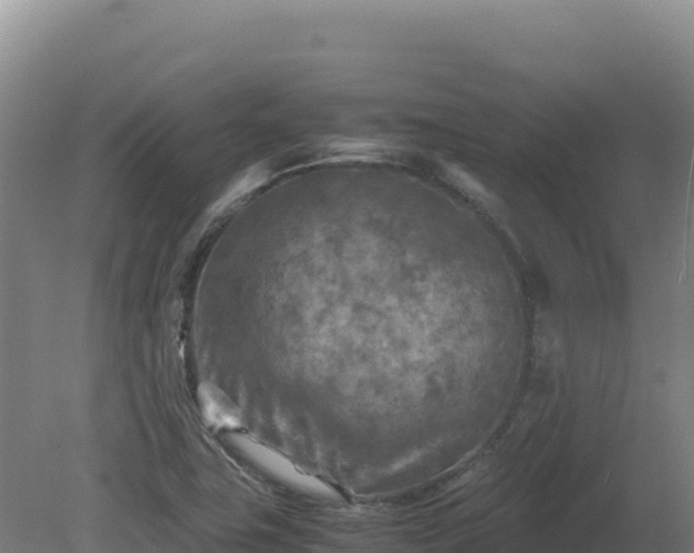 X0000081451411200701191702