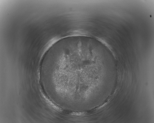 X0000081451415200701191702