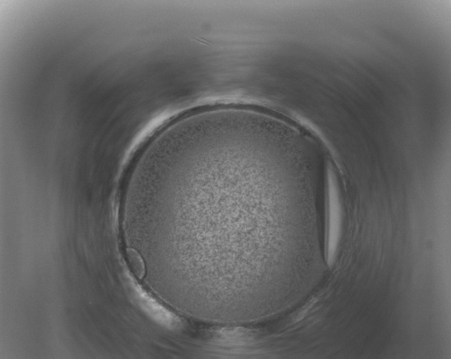 X0000081451416200701191702