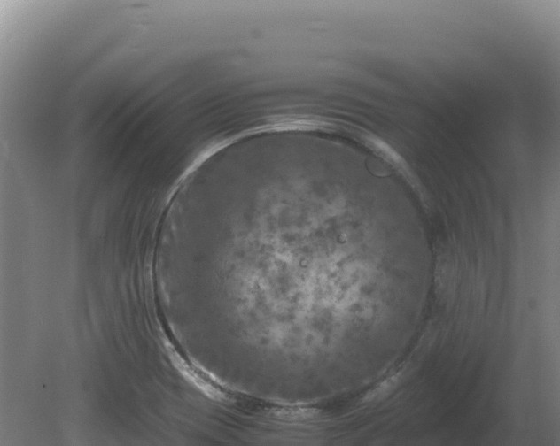 X0000081451417200701191702