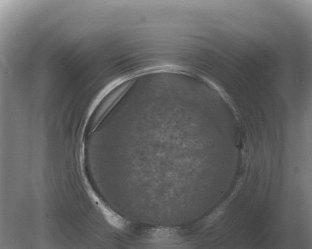 X0000081451418200701191702