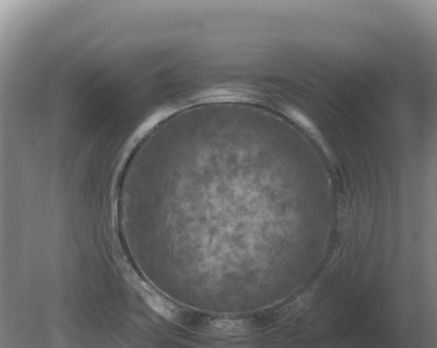 X0000081451419200701191702