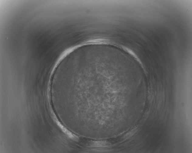 X0000081451421200701191702