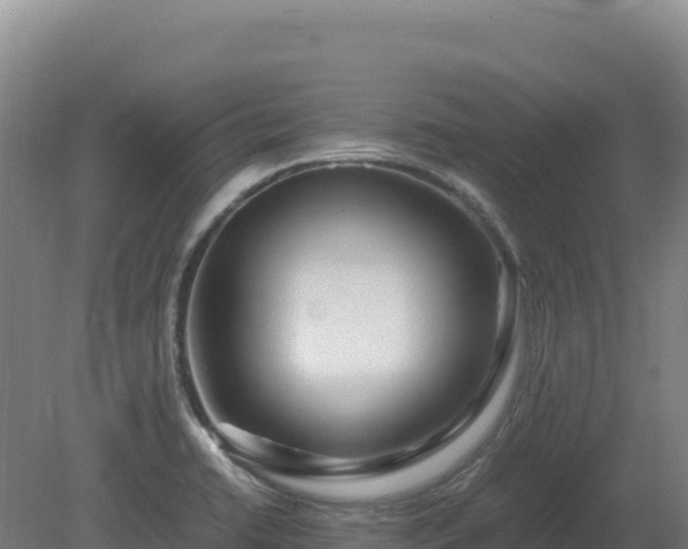 X0000081451422200701191702