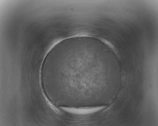 X0000081451423200701191702