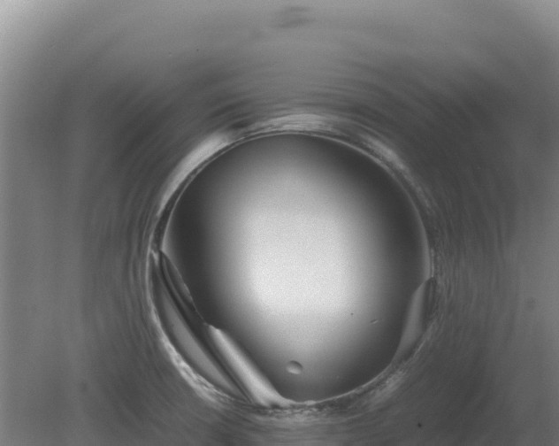 X0000081451426200701191702