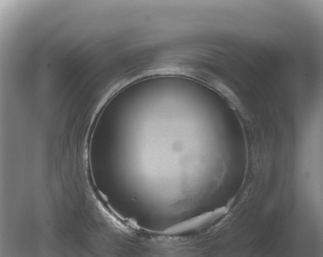 X0000081451428200701191702