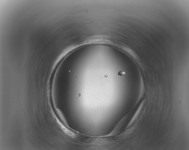 X0000081451430200701191702